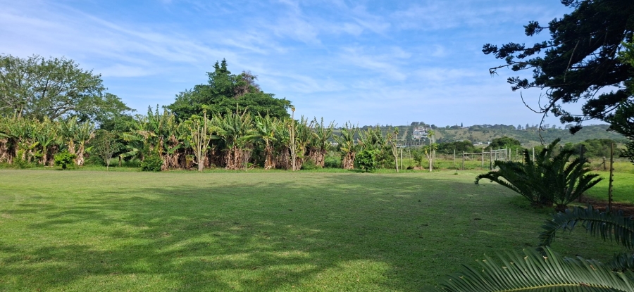 Commercial Property for Sale in Meisies Halt Eastern Cape
